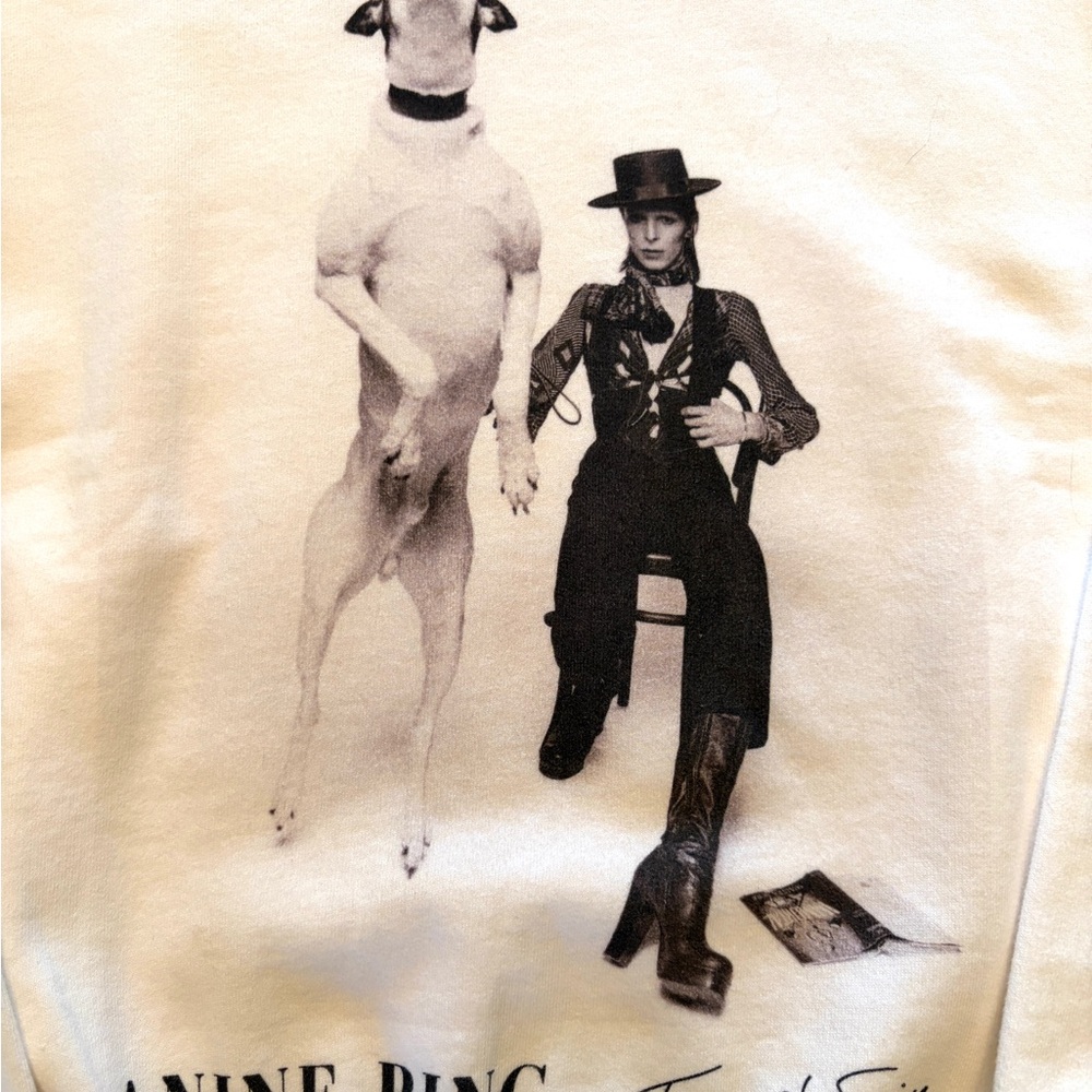 NWT Anine Bing AB x David Bowie sweatshirt - Picture 3 of 9
